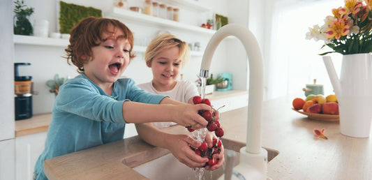 Why the Hardless NG4 Water Filter is the Best Choice for Your Home