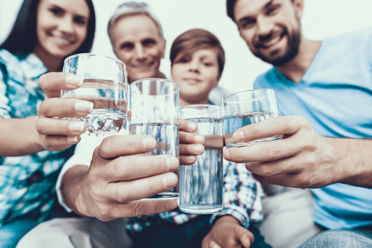 How to Extend the Life of Your Home’s Water System with Hardless NG4